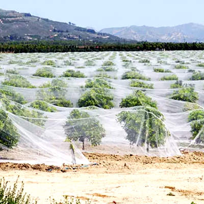 insect net for fruit tree