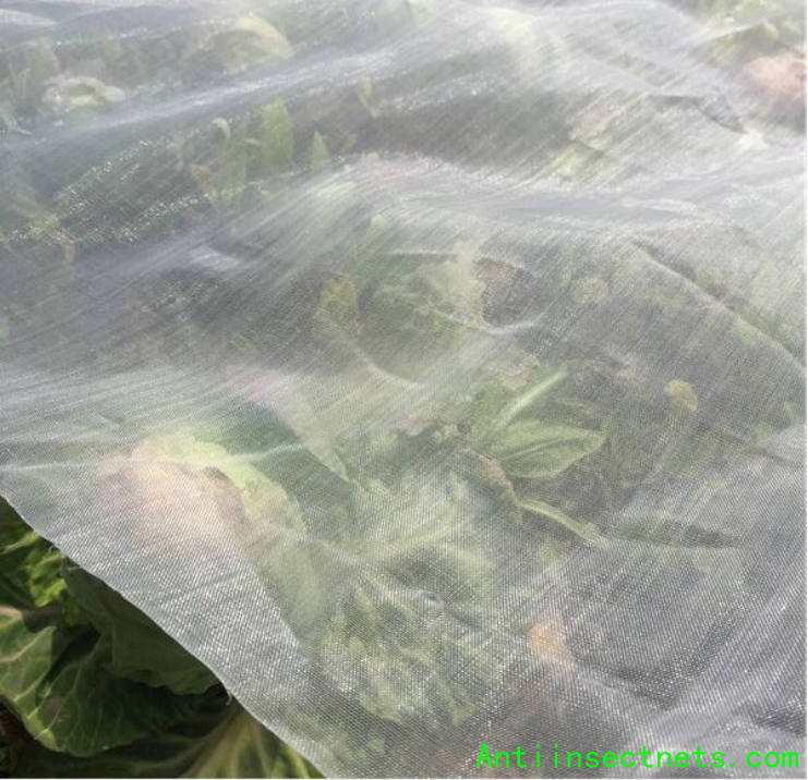 Insect-proof netting is the preferred product for vegetable pests (4)